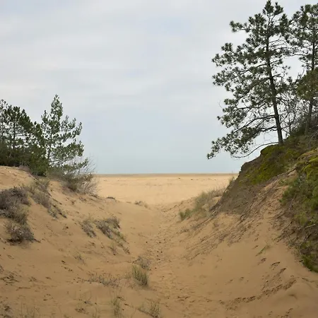 Villa Row House With Garden For 8 Guests In Lignano Pineta Lignano Sabbiadoro