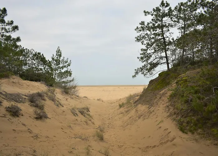 Villa Row House With Garden For 8 Guests In Lignano Pineta Lignano Sabbiadoro